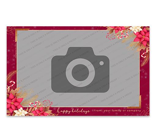 Poinsettia Throwback 6x4 Landscape Single